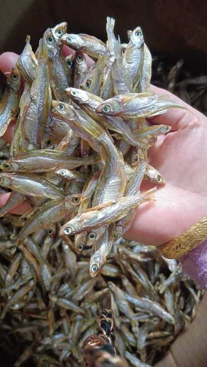 淡水鱼小鱼干，全干货，价格便宜，需要的老板联系我