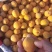 陕西杏，丰原红金太阳凯特梅杏等大量上市，品质很好。
