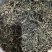 普洱2025年春茶（绿茶）自产自销，量大从优。