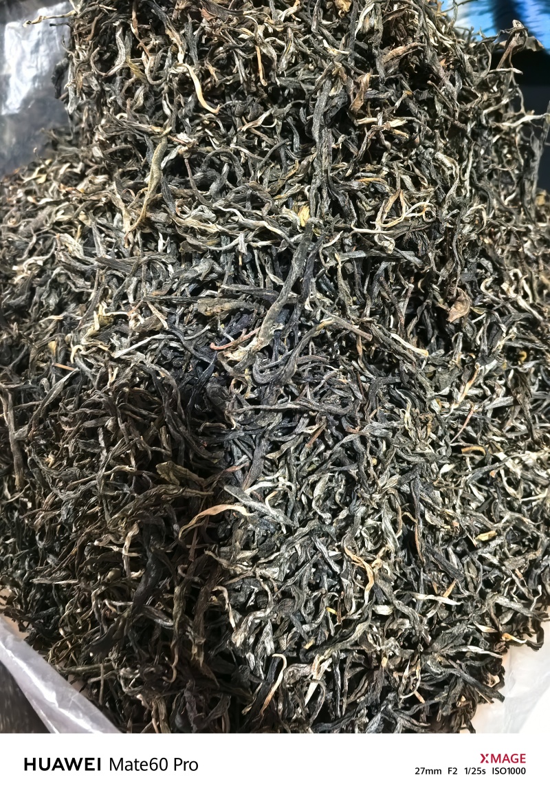 普洱2025年春茶（绿茶）自产自销，量大从优。