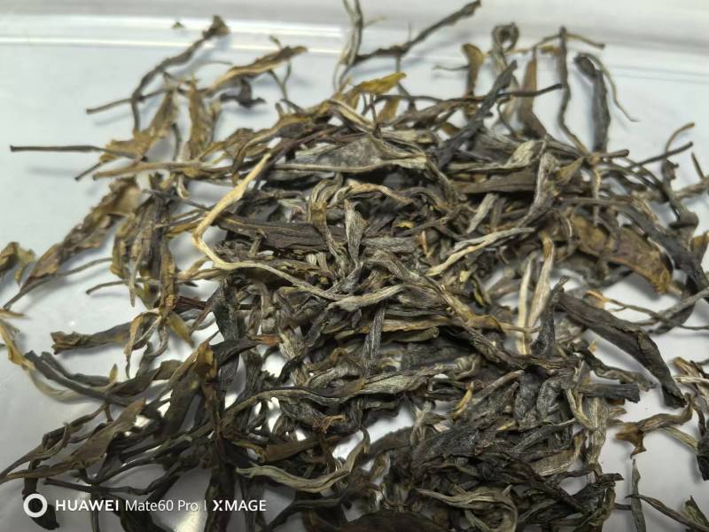 普洱2025年春茶（绿茶）自产自销，量大从优。