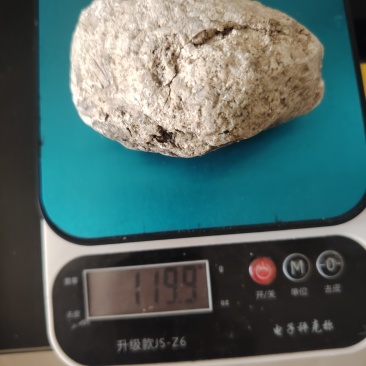 海滩天然龙涎香