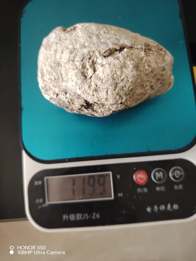 海滩天然龙涎香