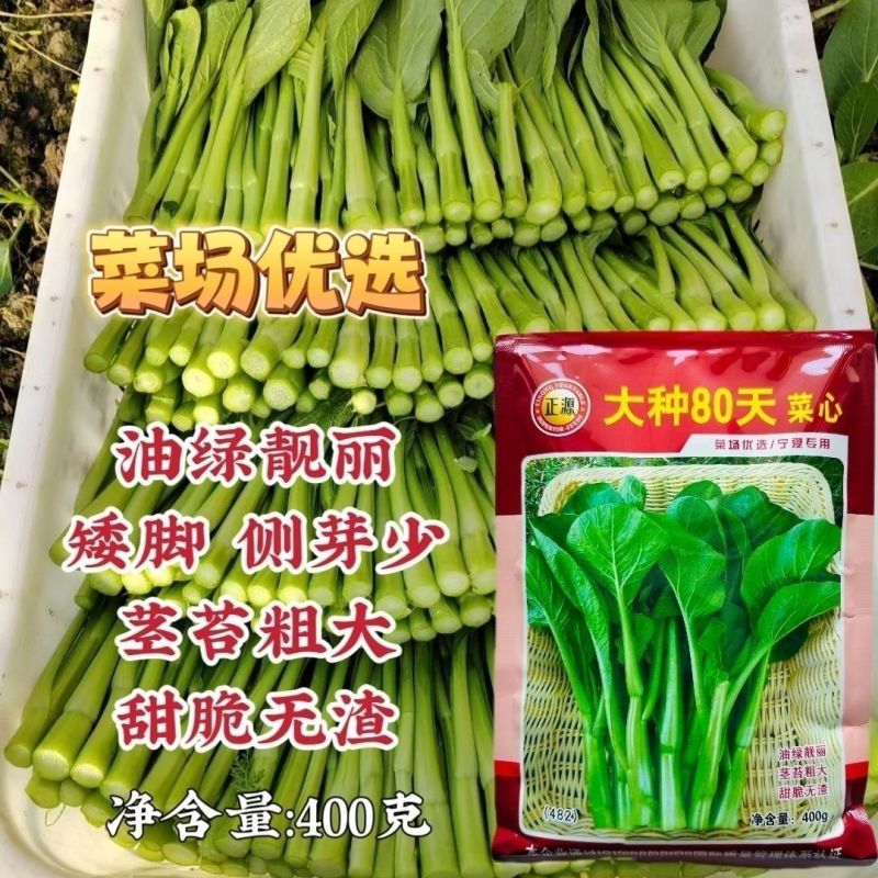 澳洲油青甜脆菜心杂交种子绿菜心种孑纤维少抗病菜苔种子