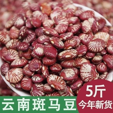 5斤】云南斑马豆新鲜肾豆花豆农家自产班马豆滋补杂粮批发