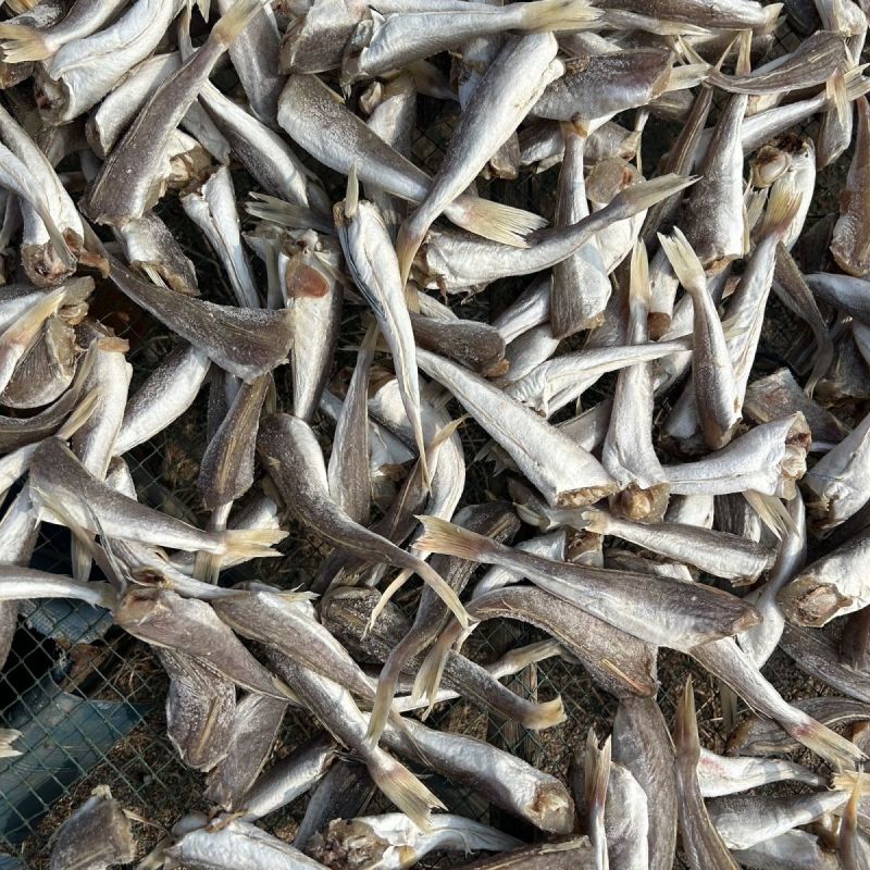 风干红娘鱼干红头鱼干咸鱼海鱼海鲜干货海产品批发