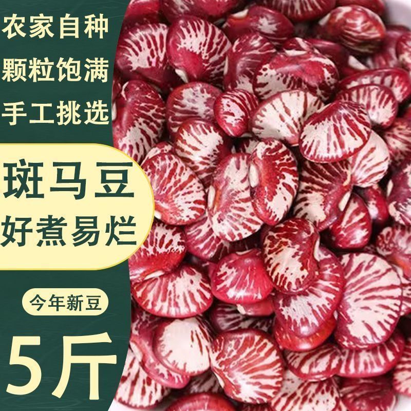 5斤】云南斑马豆新鲜肾豆花豆农家自产班马豆滋补杂粮批发