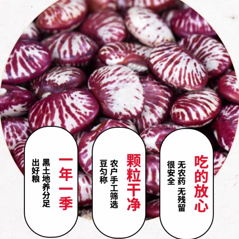 5斤】云南斑马豆新鲜肾豆花豆农家自产班马豆滋补杂粮批发