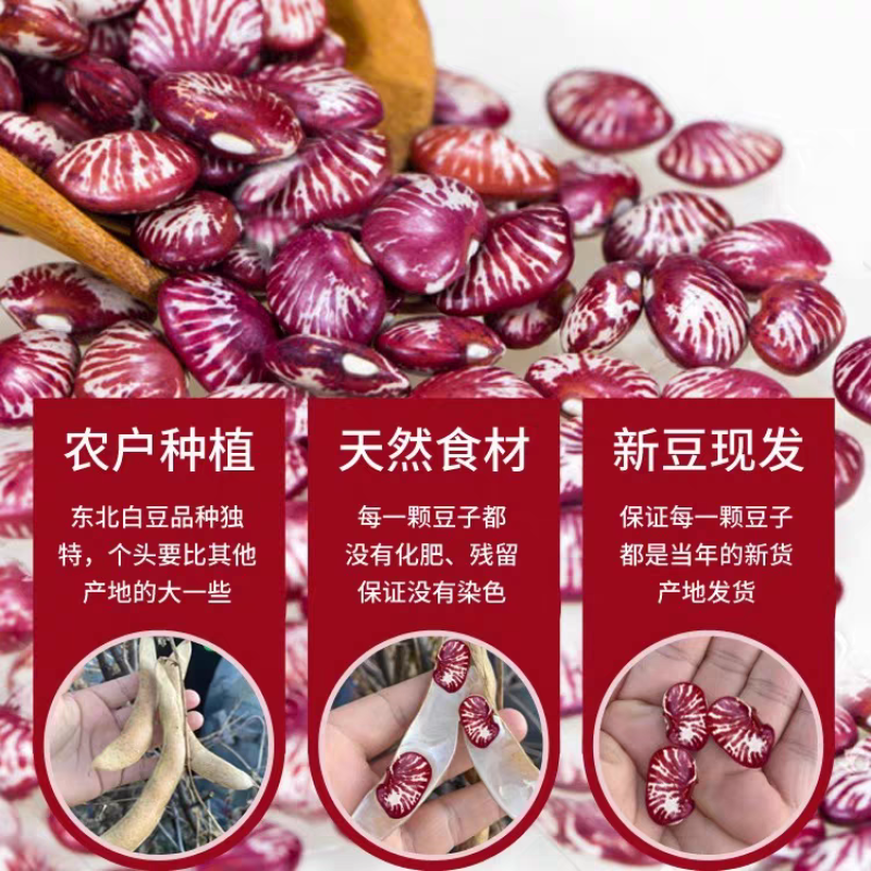 5斤】云南斑马豆新鲜肾豆花豆农家自产班马豆滋补杂粮批发