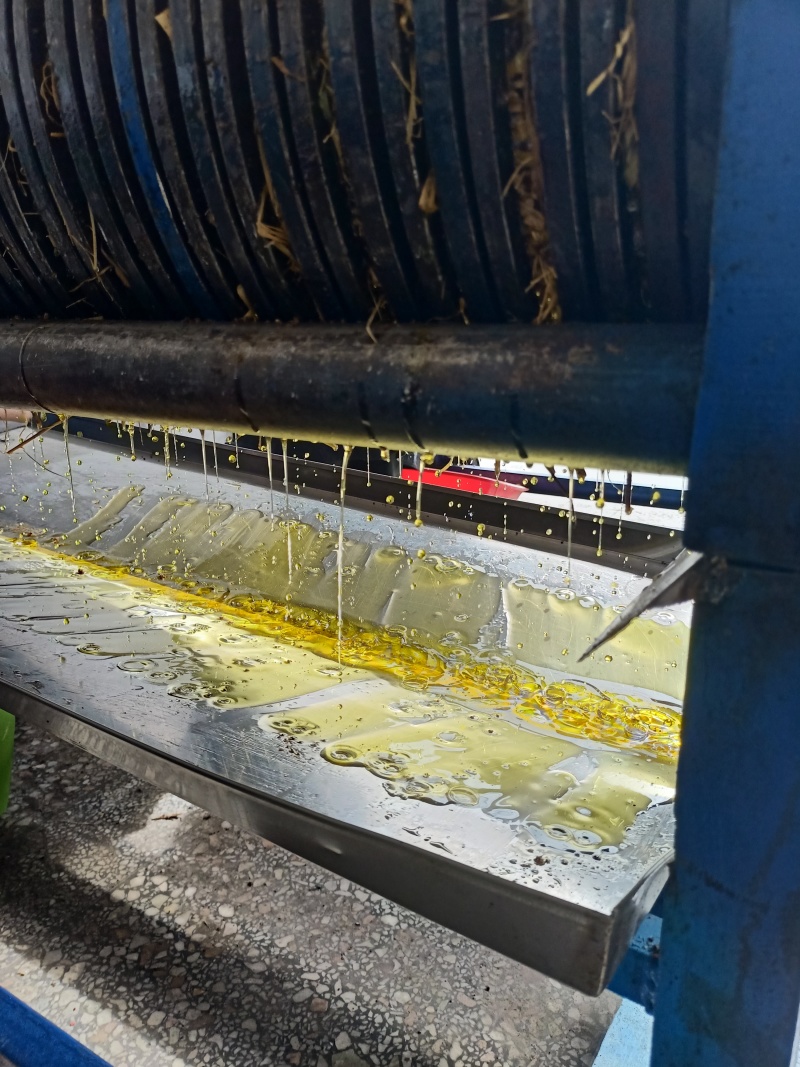 土茶油压榨冷榨茶籽油山茶油批发礼品湖南茶油代发山茶籽油食