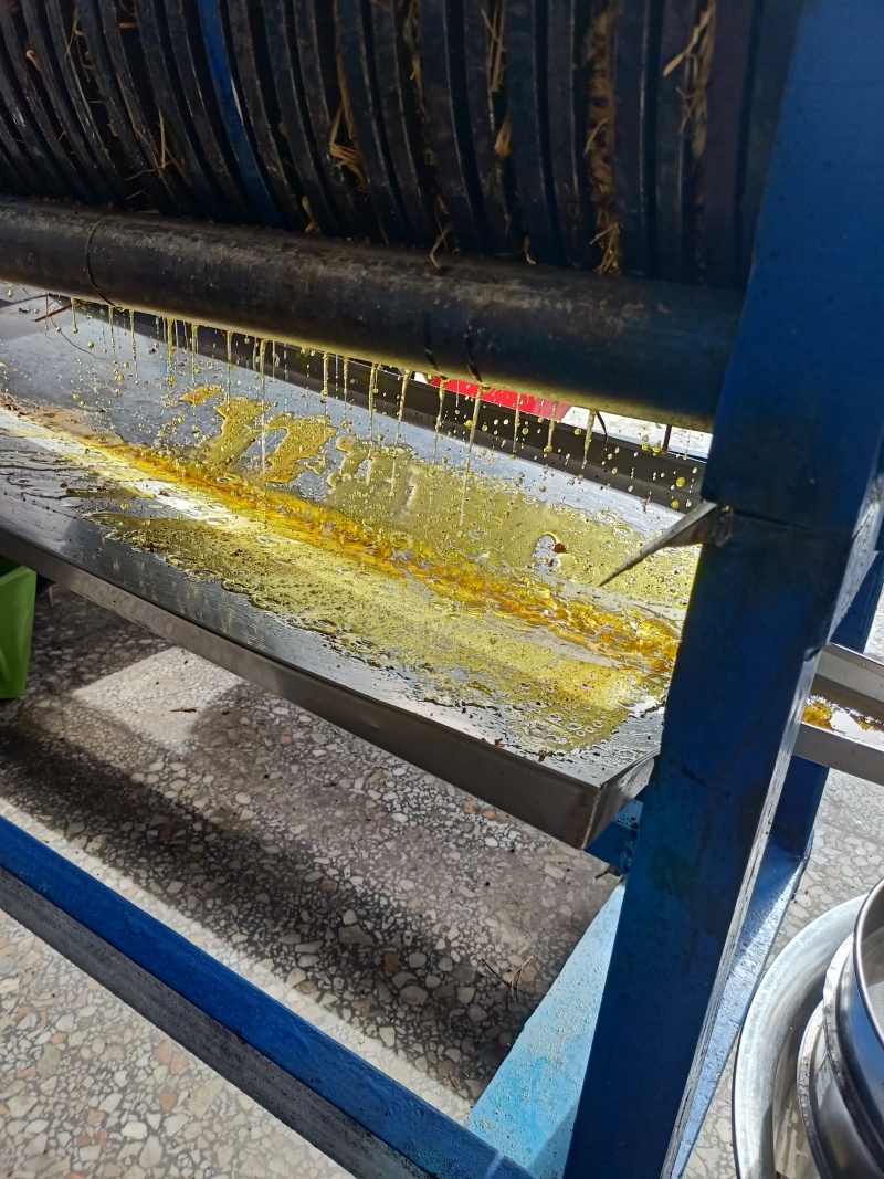 土茶油压榨冷榨茶籽油山茶油批发礼品湖南茶油代发山茶籽油食