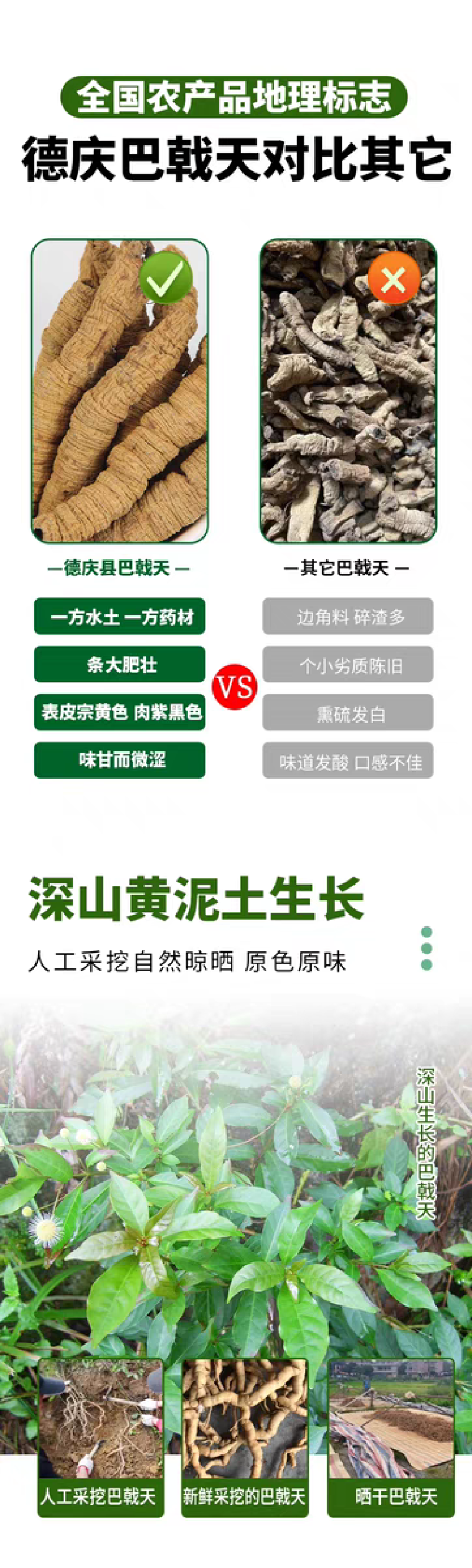 包邮）中药材生晒巴戟德庆巴戟天补巴戟肉肾500克批发