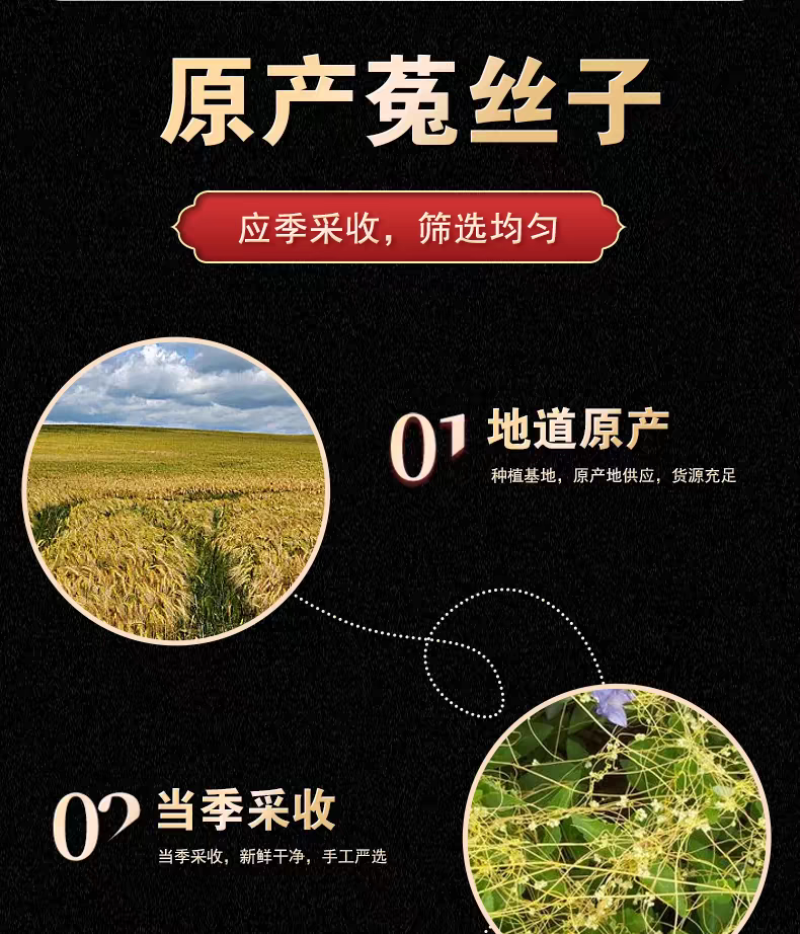 包邮）野生菟丝子500g克内蒙兔丝子泡水菟丝子泡茶中药材