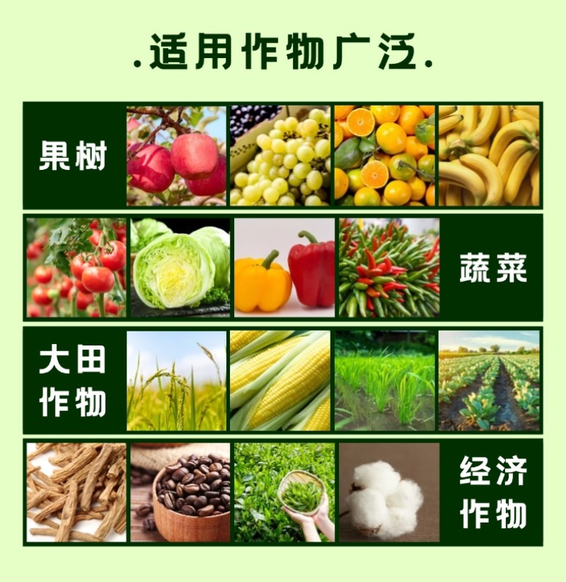 壮方元枯草芽孢杆菌100亿微生物菌剂功能水溶肥料厂家批发
