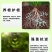 壮方元枯草芽孢杆菌100亿微生物菌剂功能水溶肥料厂家批发