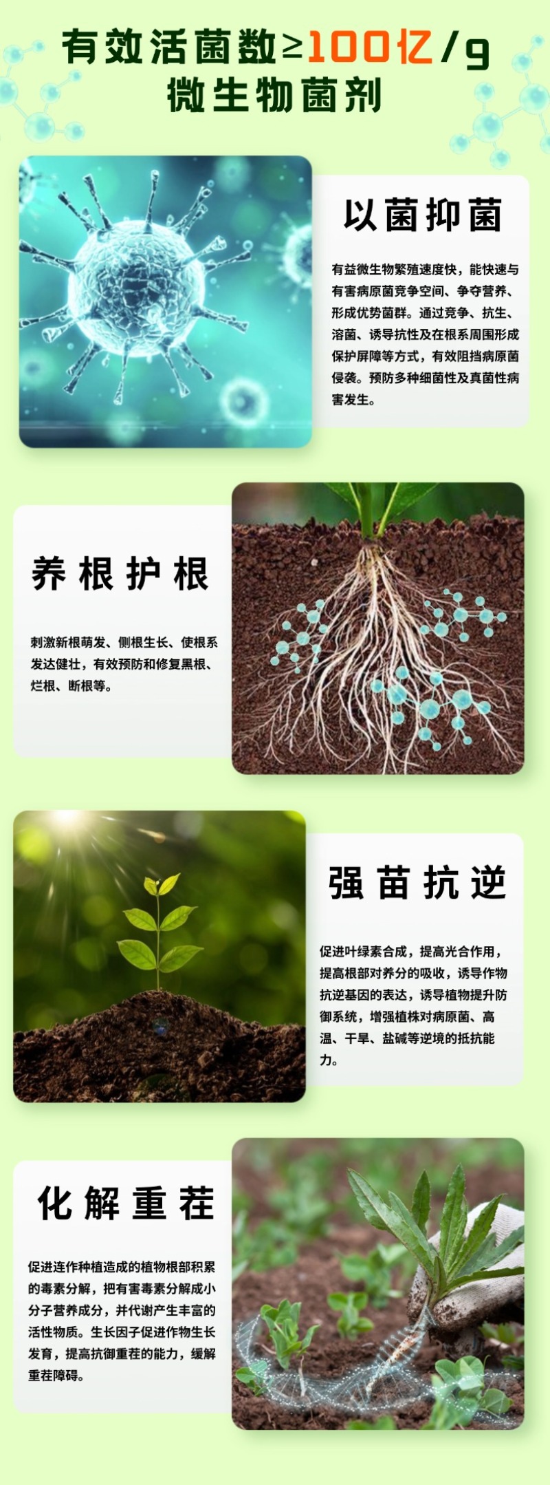 壮方元枯草芽孢杆菌100亿微生物菌剂功能水溶肥料厂家批发