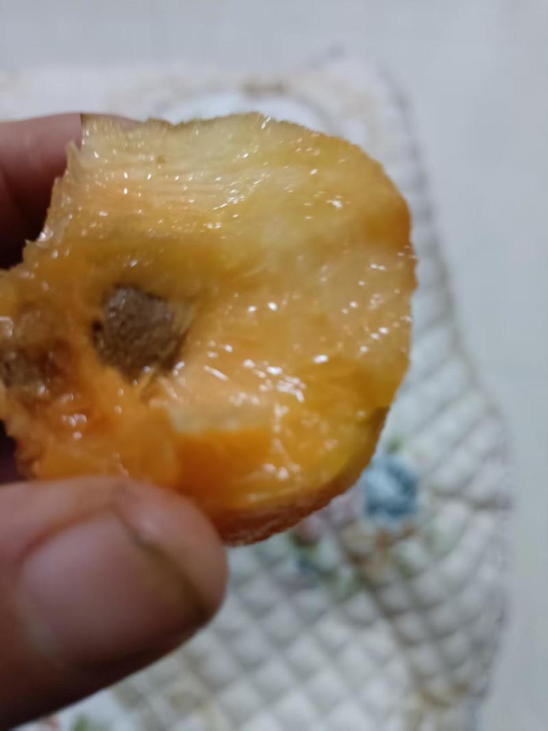 陕西杏/黄金杏/红皮黄心/产地货源/可视频看货/全国发货