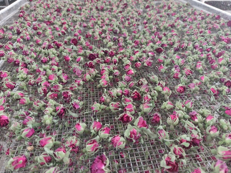 于田玫瑰花茶