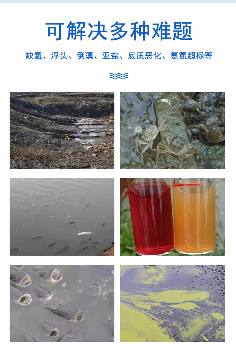 豫渔**生态氧水产养殖用鱼虾蟹增氧片粒粒氧缺氧浮头氨氮高