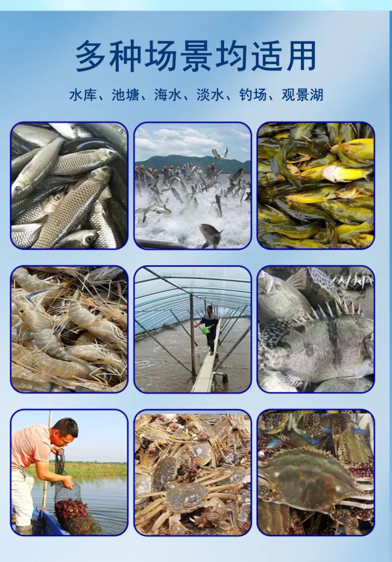 豫渔**生态氧水产养殖用鱼虾蟹增氧片粒粒氧缺氧浮头氨氮高