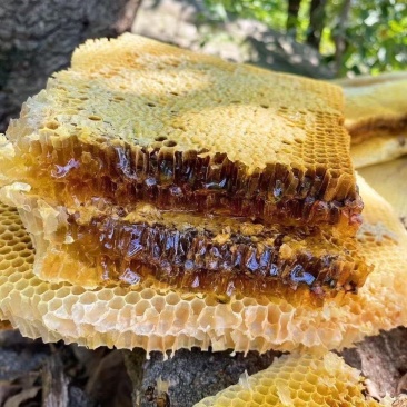野蜂蜜，诚信经营量大从优，视频看货，致电联系