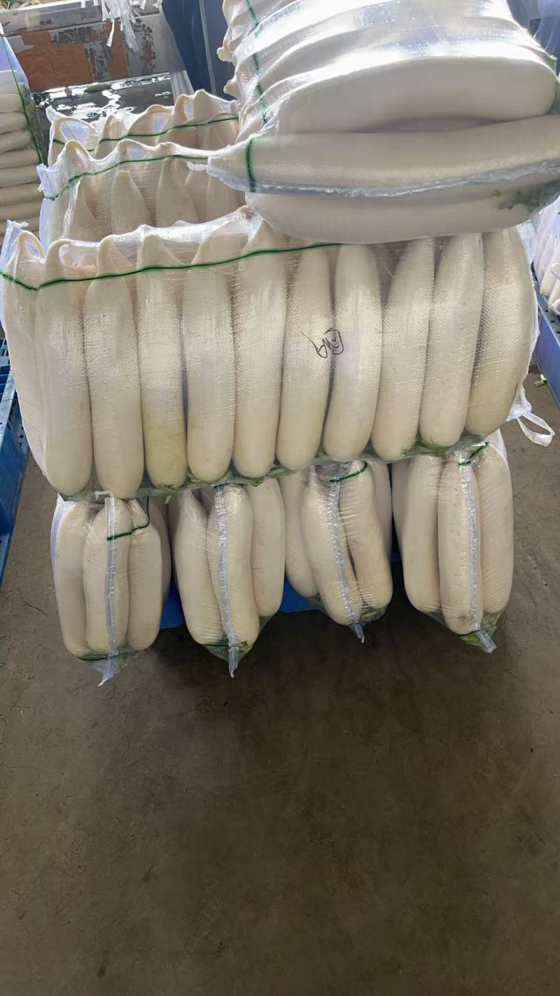 白萝卜