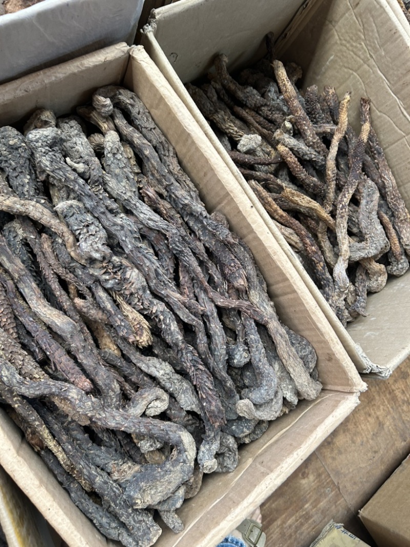 肉苁蓉沙漠肉苁蓉，优选沙漠肉苁蓉