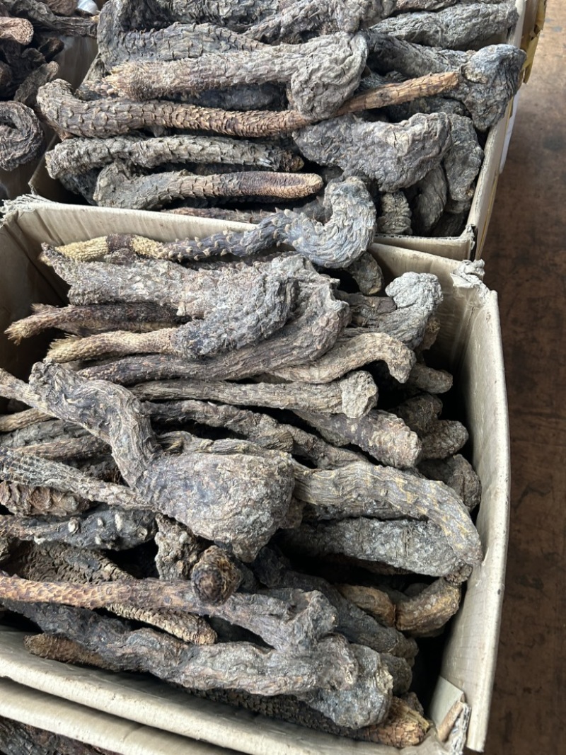 肉苁蓉沙漠肉苁蓉，优选沙漠肉苁蓉