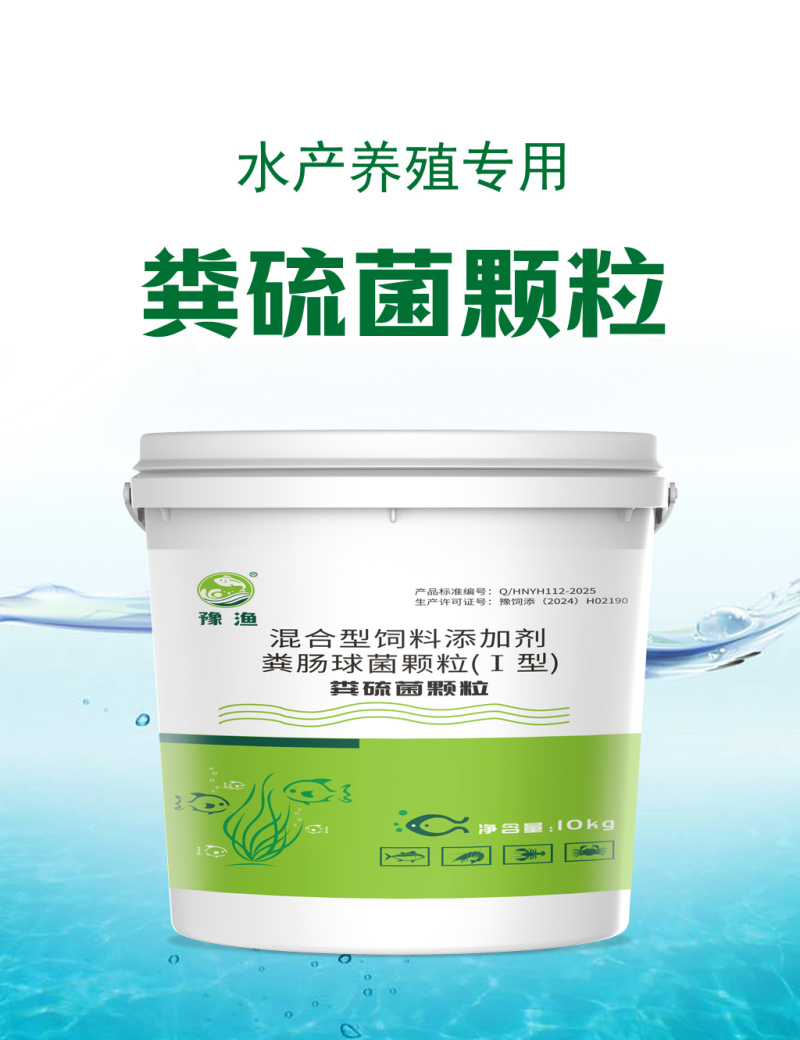 粪硫菌颗粒水产养殖用鱼塘生物改底降氨氮亚盐净水除臭除黑泥