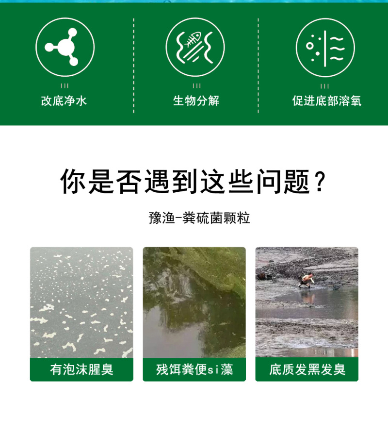 粪硫菌颗粒水产养殖用鱼塘生物改底降氨氮亚盐净水除臭除黑泥
