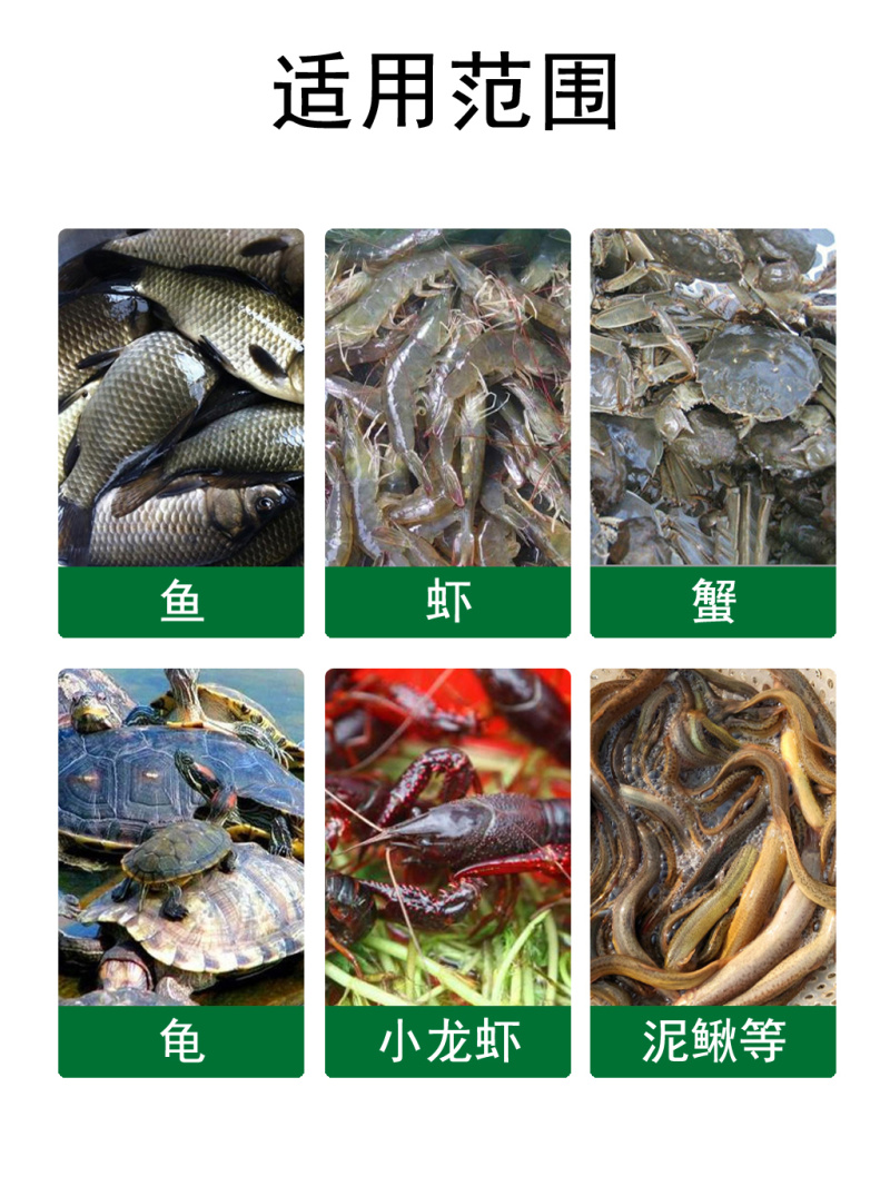 粪硫菌颗粒水产养殖用鱼塘生物改底降氨氮亚盐净水除臭除黑泥