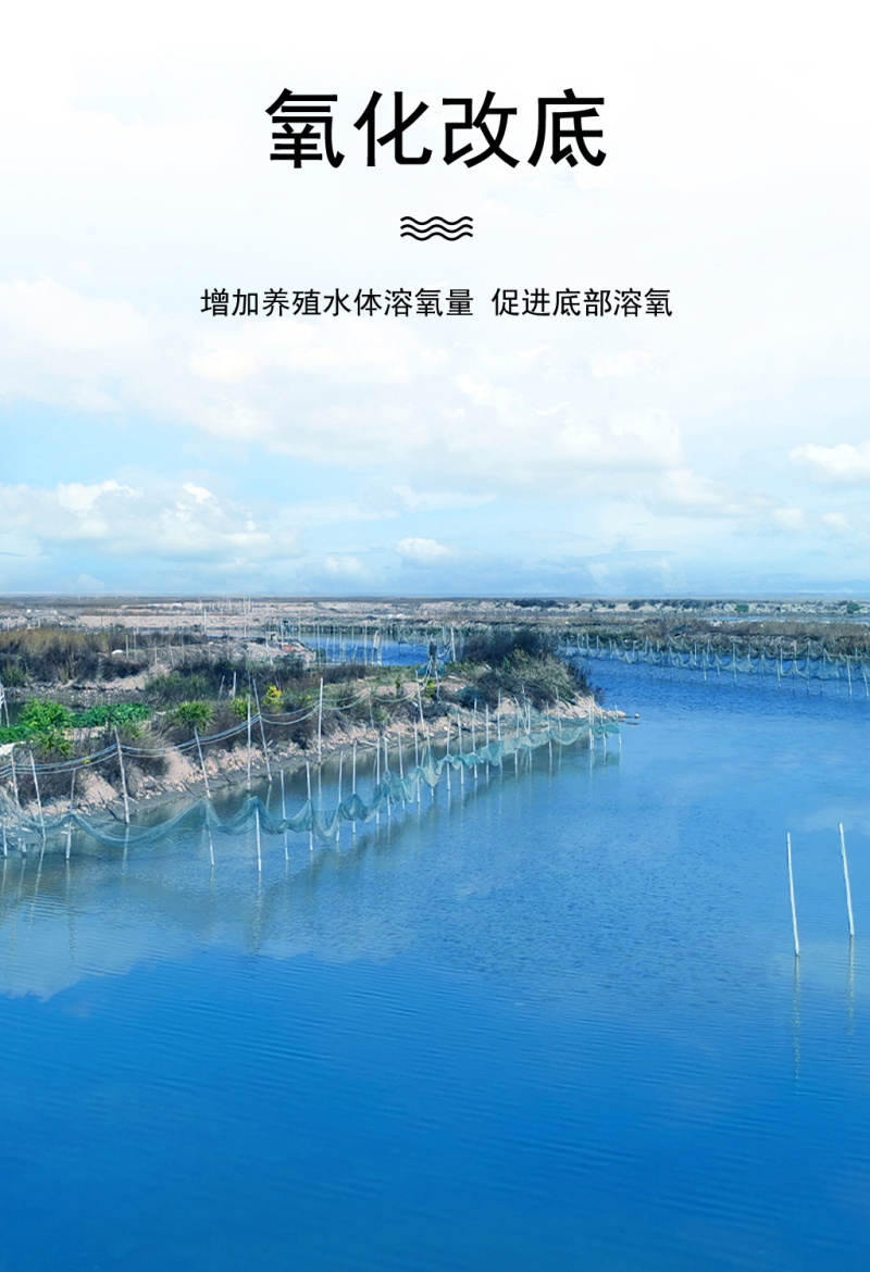 粪硫菌颗粒水产养殖用鱼塘生物改底降氨氮亚盐净水除臭除黑泥