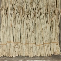 北沙参，品质保证，货源充足，规格齐全欢迎咨询联系