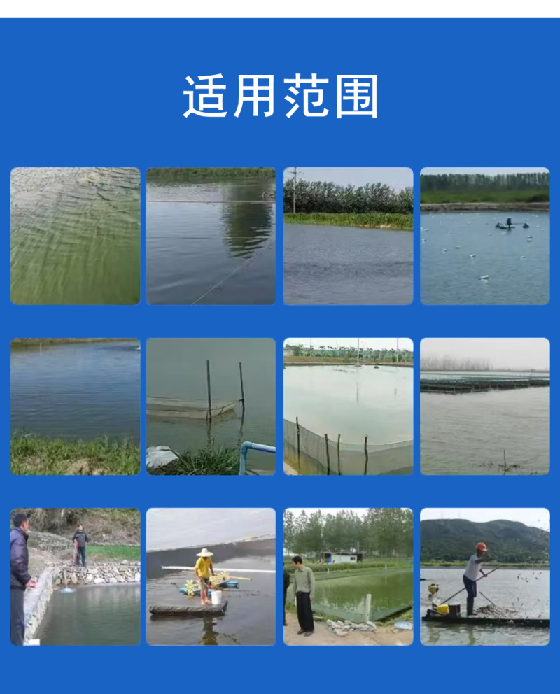 纳米银水产养殖鱼塘虾蟹用空肠白便调理肠道健康苗期可用保苗
