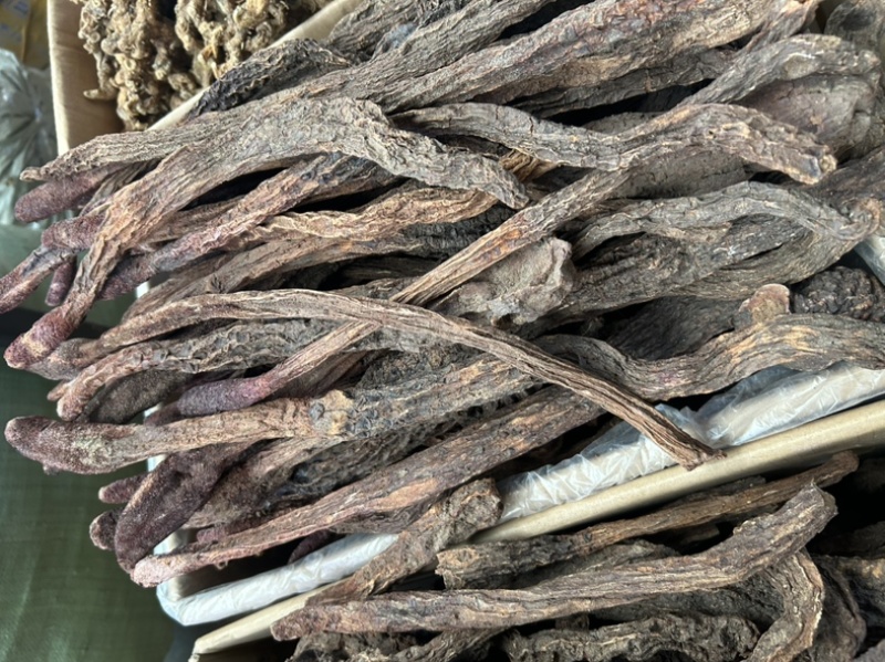 锁阳沙漠锁阳大货供应