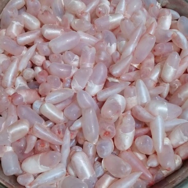 鱼籽鱼泡