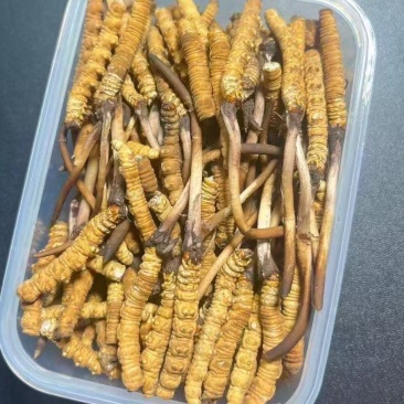 果洛断草，没有太碎的，，整洁新鲜，可长期供货