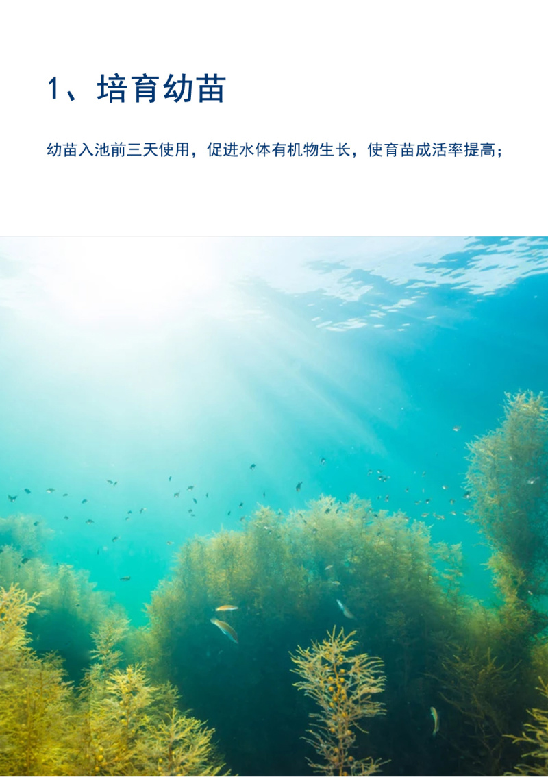 一塘好肥水产养殖用鱼塘鱼虾蟹肥水培藻补碳复合藻种氨基酸