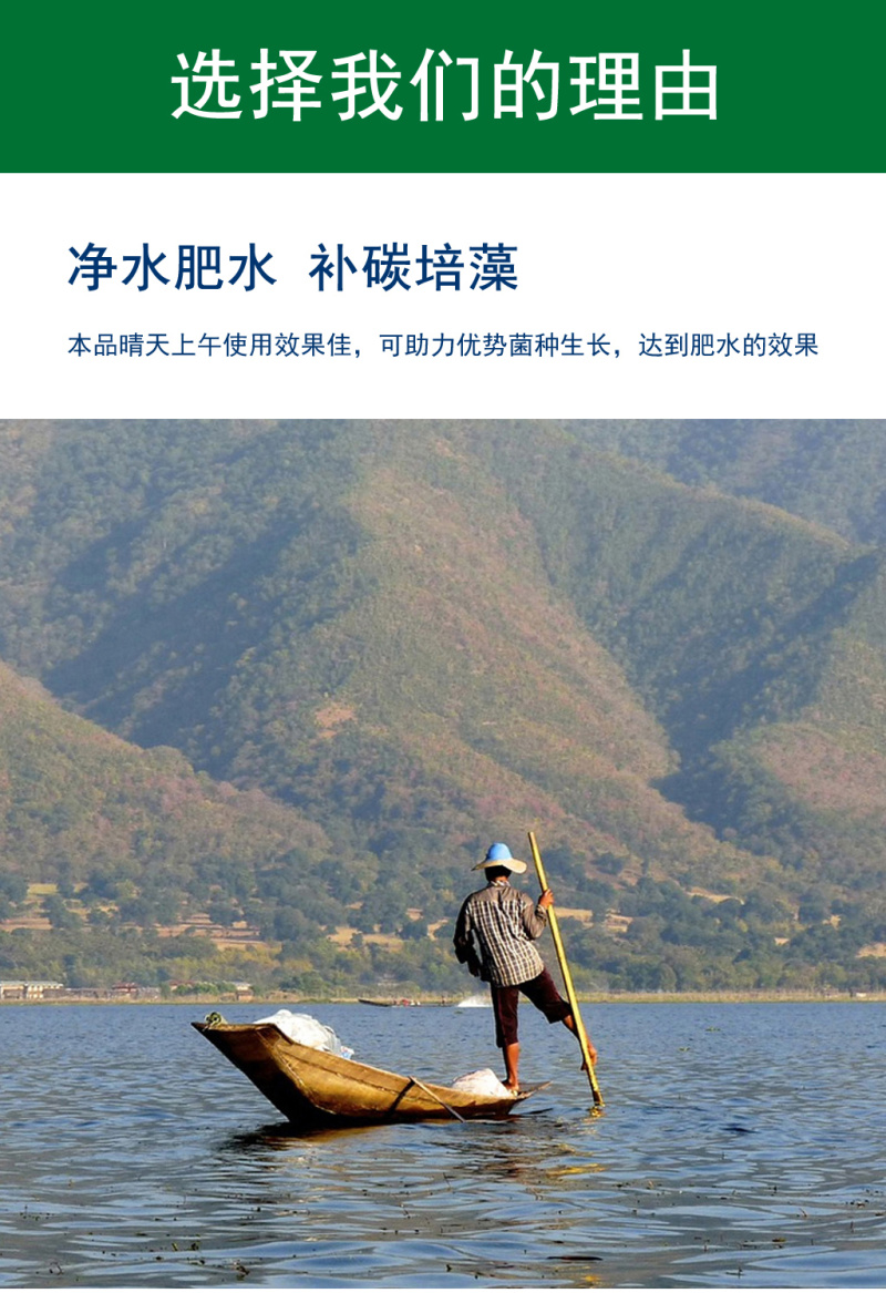 一塘好肥水产养殖用鱼塘鱼虾蟹肥水培藻补碳复合藻种氨基酸