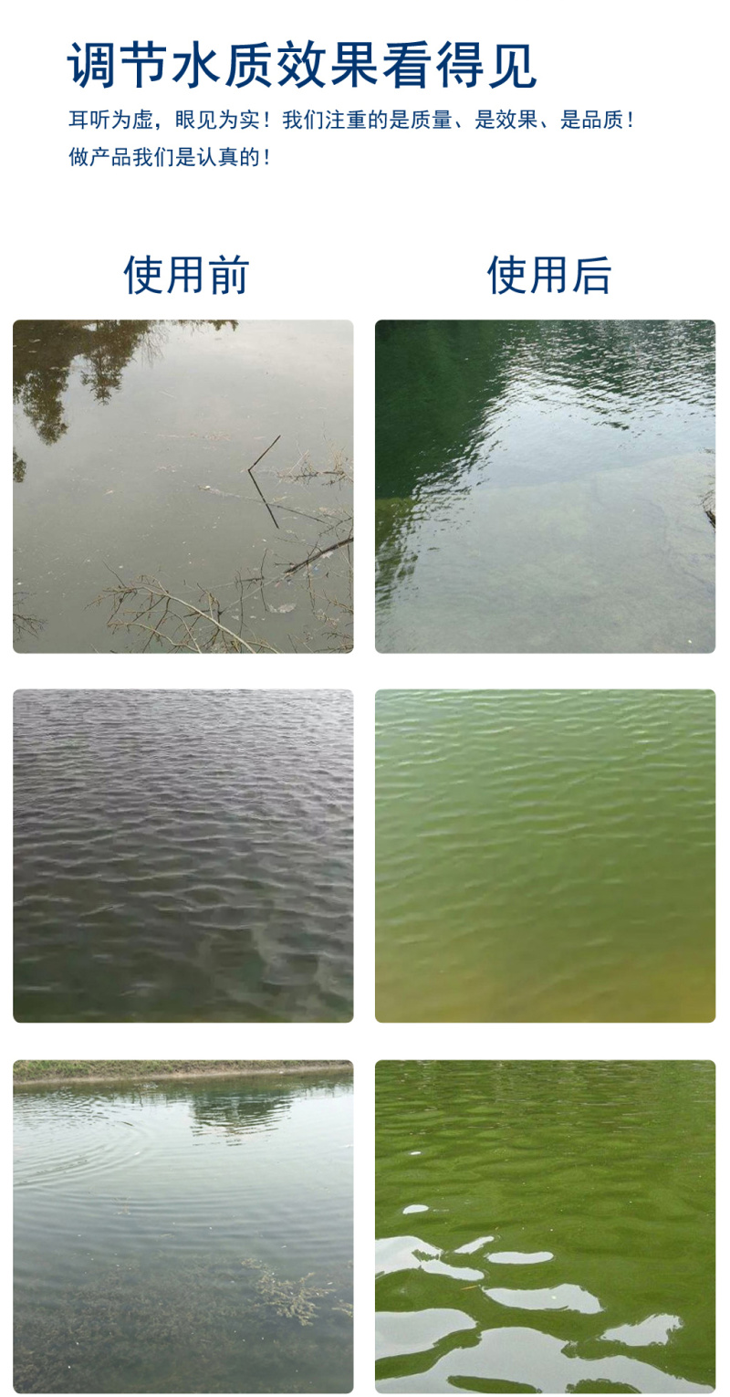 一塘好肥水产养殖用鱼塘鱼虾蟹肥水培藻补碳复合藻种氨基酸