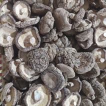 干香菇大号肉厚根短