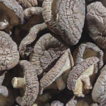 干香菇批发商用
