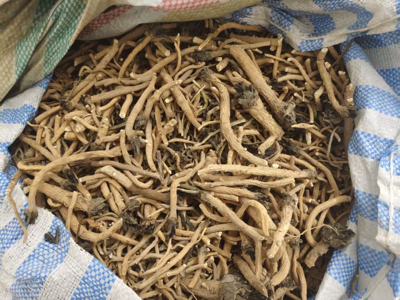 新疆优质板蓝根。产地整车直发