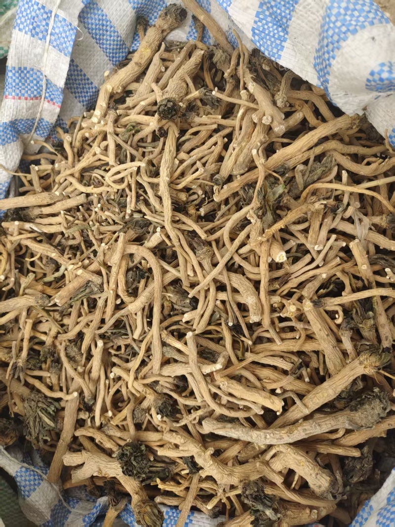新疆优质板蓝根。产地整车直发