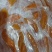 红薯软条，薯仔，薯干，大量有货，全国发货，欢迎咨询