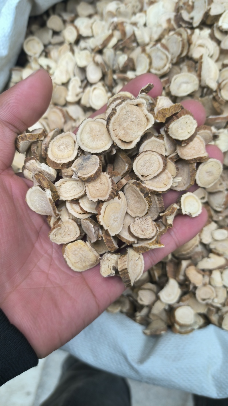苦参无硫正品苦参质量保证批发零售各种中药材农副产品
