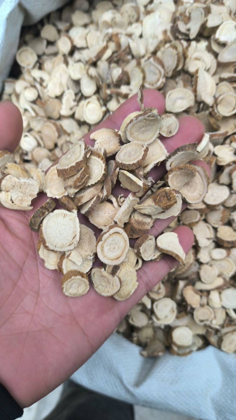 苦参无硫正品苦参质量保证批发零售各种中药材农副产品