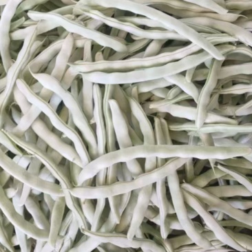 精品白不老豆辽宁产地大量供应，一手货源欢迎咨询
