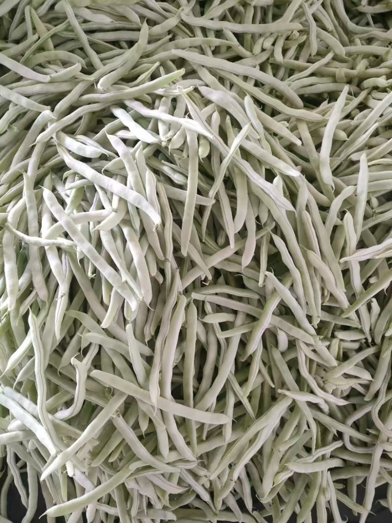 精品白不老豆辽宁产地大量供应，一手货源欢迎咨询