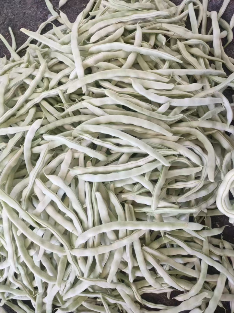 精品白不老豆辽宁产地大量供应，一手货源欢迎咨询